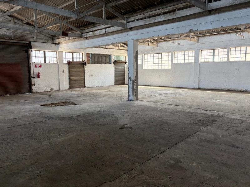 To Let Commercial Property for Rent in Deal Party Eastern Cape